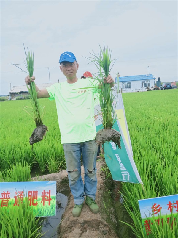 11图佳木斯胜利农场二十连水稻春季回访图片2.jpg