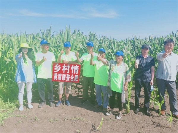 1图2020年宝清县清源镇春季玉米回访图片.jpg