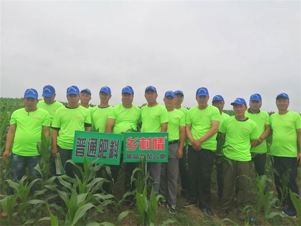 2图2020年黑龙江海林农场二分厂春季玉米回访对比田图片.jpg