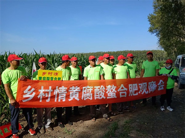 3图2020年依安县三星镇春季玉米回访对比田图片.jpg