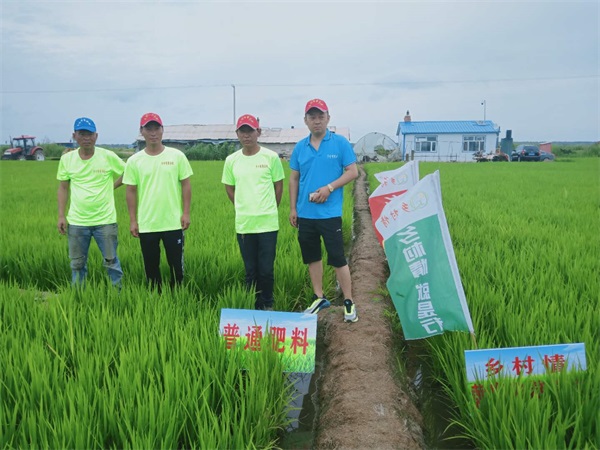 2图2020年建三江市胜利农场春季水稻回访图片（一）.jpg