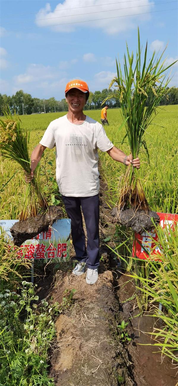 2图2020年富锦市二龙山镇水稻回访对比田图片.jpg
